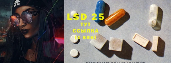 шишки Алзамай