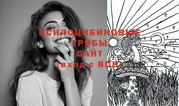 соль курить ск Алексеевка