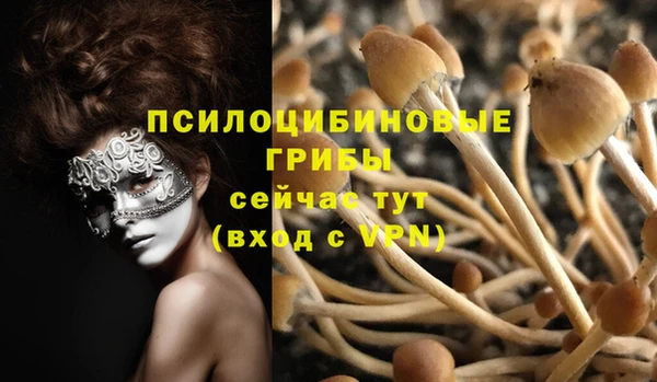шишки Алзамай