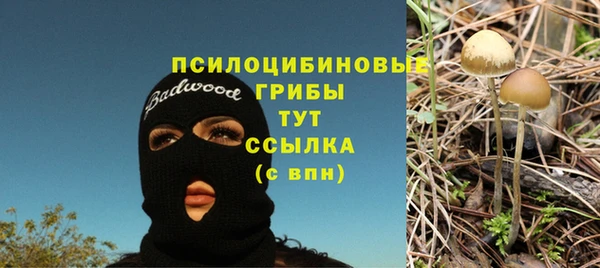 соль курить ск Алексеевка
