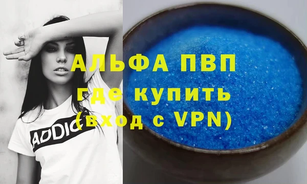 шишки Алзамай