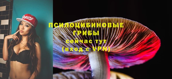 мескалин Алексин