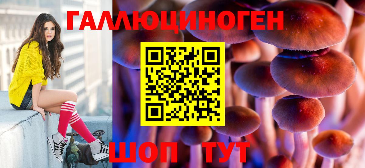 Псилоцибиновые грибы Cubensis Обнинск