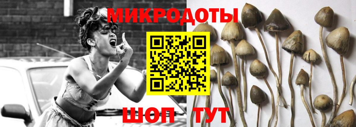 Псилоцибиновые грибы мухоморы  Галлюциногенные грибы GOLDEN TEACHER  Обнинск  Вход с VPN 
